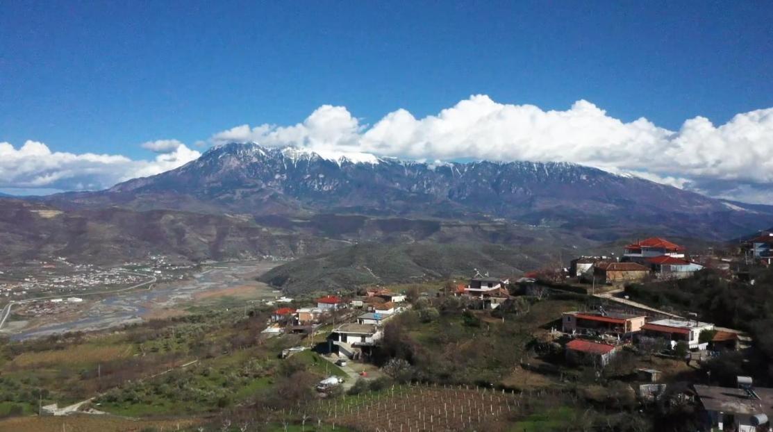 Villa Kuci, Drobonik Berat Exteriör bild